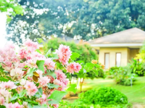 Namoon Namsai Resort