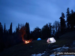 Wilderness Home Jibhi