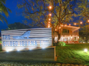 The Gilded Iguana Surf Hotel