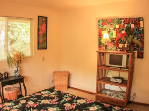 Cymbidium Cottage