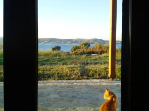 Marvelous Sea View Eco Studio