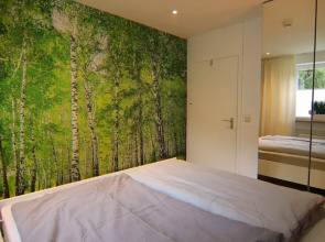 Ferienwohnung Hexenzauber I in Braunlage