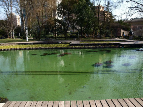 World Union Service Apartment Cosmo