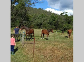 Stylish Country Retreat Wollombi Hunter valley