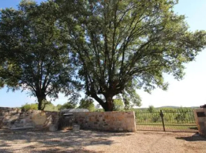 Holiday Home Vinkovic