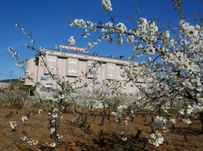 Hotel Novo