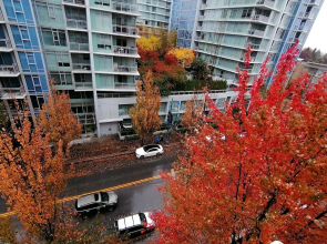 Vancouver Airport Condos