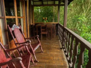 Cabañas el Bosque