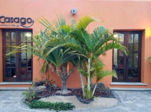 Casa Milagro by Casago