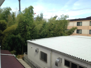 HOTEL Yancha na Koneko -Adults Only