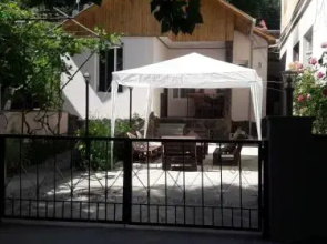 Ira & Vaso's Apart hotel Borjomipark