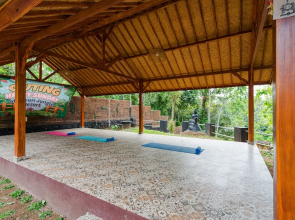 Byron Jungle Resort