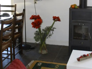 Het zwaluwnest