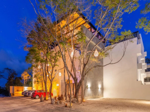 Amazing 6 Apts 12br Perfect for Large Groups Shared Pool With Sundeck in Downtown Tulum