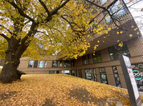 Tõnismäe Premium apartment with Sauna