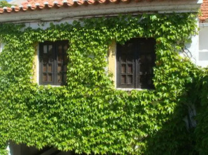 Travelers Ex Casa da Vila