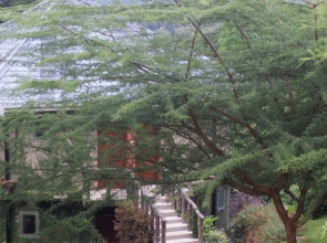 Udzungwa falls lodge