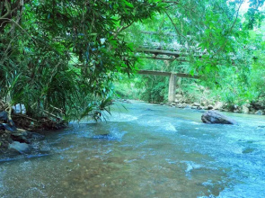 Secret River Side Safari Lodge