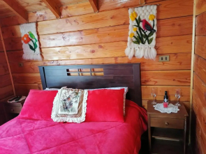 Cabañas El Diuco en Coñaripe IV