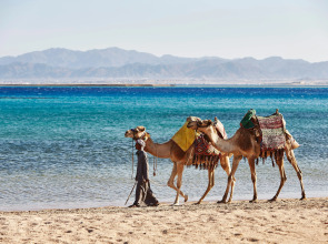 Отель Kempinski Hotel Soma Bay