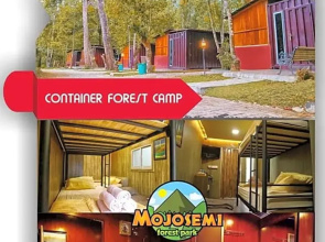 Lawu Forest Camp