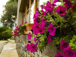 Oyo Hostal Montserrat