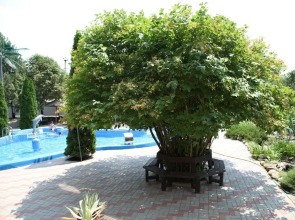 Гостевой дом SeaStar