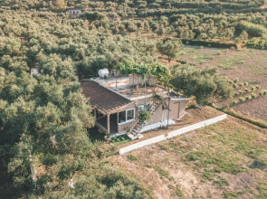 The Mills House