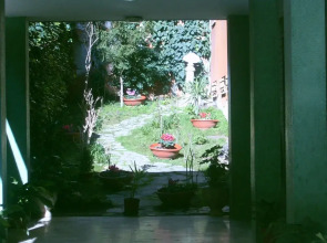 Ale&Andrea Apartments