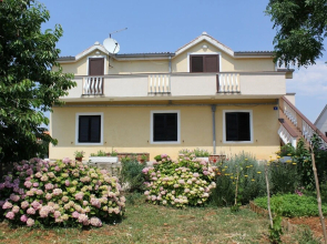 Apartment Radovic Ive