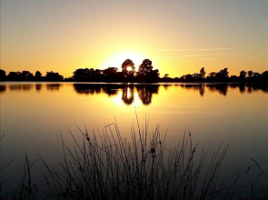 Albion Hotel-Motel Finley