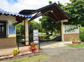 Tulaima