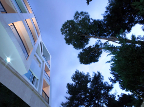 BayInn Hotel