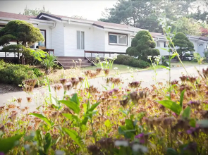 Taean Wood Fragrance Pension