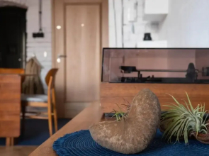 Visitting Apartments - Podwale