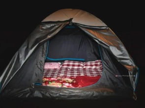 Dandeli Jungle Villa