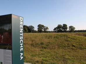 Pet-friendly Villa in Park Ankeveen