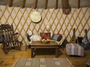Yurt Located in a Little oak Grove