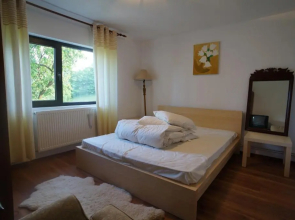 Casa Paltinu