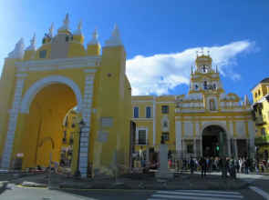 Confy And Centric Duplex