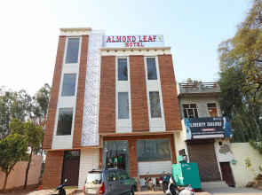 Oyo 29006 Hotel Almond Leaf
