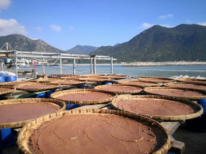 YHA Ngong Ping SG Davis Youth Hostel