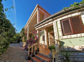 Apartments Predrag 498