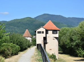 S'harzala Vert Bis