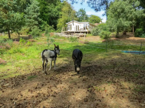 The Retreat