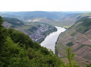Ferienweingut Hensler