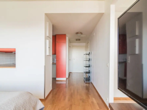 Local Nordic Apartments - Bald Eagle