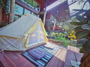 Camp NYS