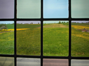 Apartment in a stylish house in the countryside - 5 km from the sea