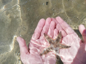Attico fronte mare